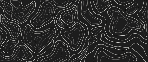 Abstract line art background vector. Mountain topographic terrain map background with white shape lines texture. Design illustration for wall art, fabric, packaging, web, banner, app, wallpaper.