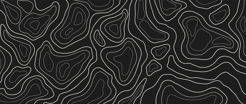 Abstract line art background vector. Mountain topographic terrain map background with white shape lines texture. Design illustration for wall art, fabric, packaging, web, banner, app, wallpaper.
