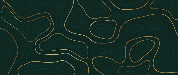Luxury gold abstract line art background vector. Mountain topographic terrain map background with gold lines texture. Design illustration for wall art, fabric, packaging, web, banner, app, wallpaper.  © TWINS DESIGN STUDIO