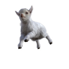 Goat baby character on transparent background. 3d rendering illustration for collage, clipart, composting, pose #02.