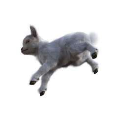 Goat baby character on transparent background. 3d rendering illustration for collage, clipart, composting, pose #02.