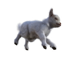 Obraz premium Goat baby character on transparent background. 3d rendering illustration for collage, clipart, composting, pose #02.