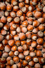 The texture of the hazelnut in shell.