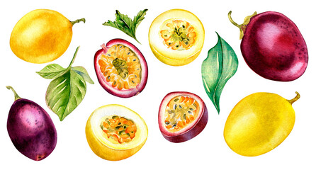 Set of variouse passion fruits, mint and leaves watercolor illustration isolated on white. Whole maracuja hand drawn. Design element for wrapping, menu, smoothies, ice-cream, ingredient, tableware.