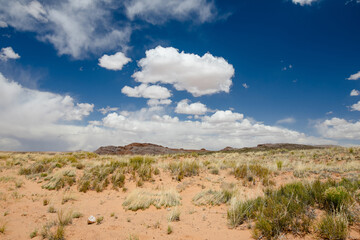 Beautiful landscape of a desert in Arizona. Dry grass and sandstone formations under cloudy blue sky on hot summer day.