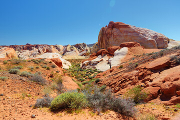 Amazing colors and shapes of sandstone formations in Valley of Fire State Park, Nevada, USA