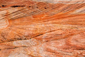 Scenic view of marvelous red and white sandstone formations of Yant Flat in Utah, USA