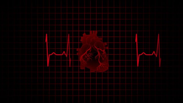 Heart Rhythm Background 4K Heartbeat monitor EKG line monitor shows heartthrob, Seamlessly loop electrocardiogram medical screen with a graph of heart rhythm on black background