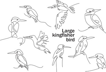 Naklejka premium one line drawing of big kingfisher, isolated pink shape. suitable for logo, painting, print.