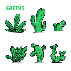 cactus hand drawn doodle