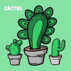 cactus in a pot