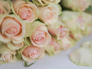 Close up of white roses natural floral background copy space