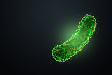Concept infectious agents, bacteria, bacilli, E. coli, part of the gut microbiome. Magnified image from under the microscope. 3D rendering, 3D illustration.