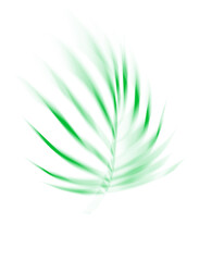 Tropical flower leaf plant blur effect mesh, modern contemporary surreal style design clip art in bright color, isolated png image