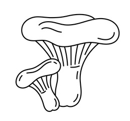 Milky cap mushrooms. Lactarius deliciosus. The saffron milk cap and red pine mushroom. Edible mushrooms. Vector line. Editable outline stroke.