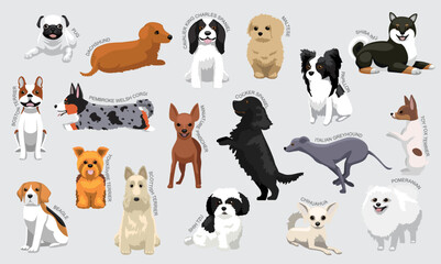 Little Dog Breeds With Names Set Various Kind Identify Cartoon Vector