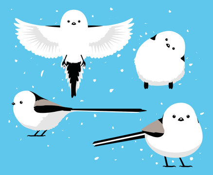 Hokkaido Long-Tailed Tit Shima Enaga Bird Cute Cartoon Poses Vector Illustration
