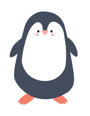 Portrait of penguin animal, flightless seabird
