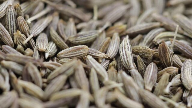 a pile of natural dried cumin seeds rotates in a circle. side view
