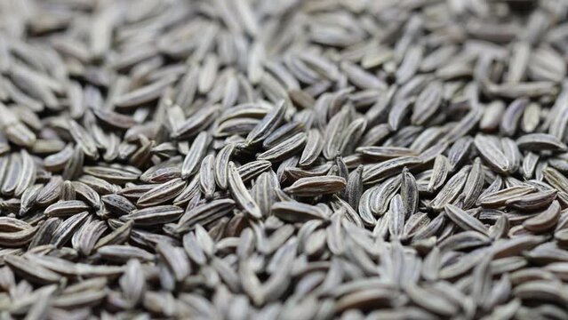 dried cumin seeds rotate in a circle. side view