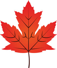 Naklejka premium maple leaf isolated on white