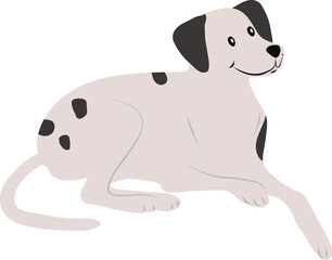 Cute dog 