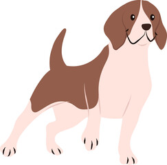 Cute dog 