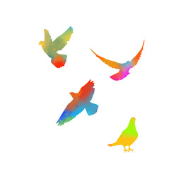 Abstract colored flying birds. Rainbow doves. Mixed media. Vector illustration