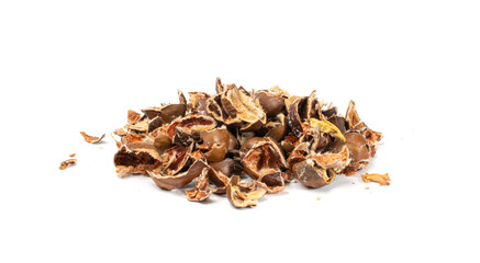 Chestnut Husks Isolated, Edible Sweet Chestnuts Shells, Bio Garbage for Compost, Organic Waste Ingredient