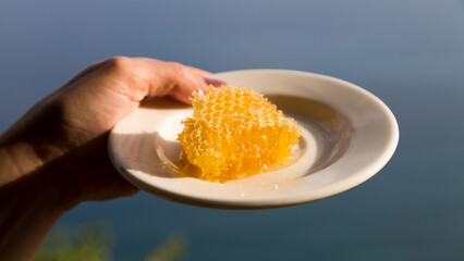 Honey honeycombs on a white plate in a female hand, close-up.