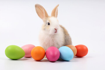 Fototapeta na wymiar young baby rabbit with easter eggs on white background
