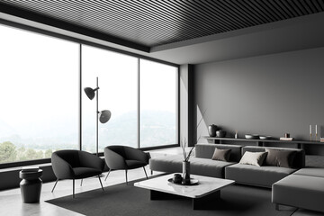 Corner view on dark living room interior with armchair, sofa