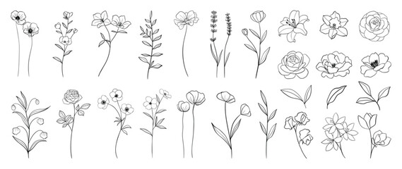Set of hand drawn botanical flowers line art vector. Collection of black white contour drawing of rose, lily, wildflowers, leaf. Design illustration for print, logo, cosmetic, poster, card, branding.