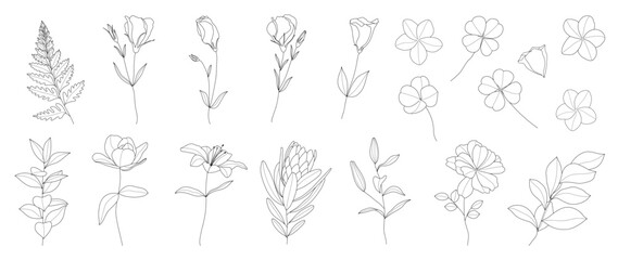 Set of hand drawn botanical flowers line art vector. Collection of black white drawing contour simple rose, lily flowers, clover. Design illustration for print, logo, cosmetic, poster, card, branding.