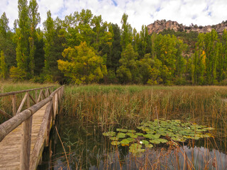 natural mountain landscape, in U&ntilde;a, Cuenca, Spain, with forest and a lake with aquatic vegetation, water lilies, and a bridge that crosses into the forest