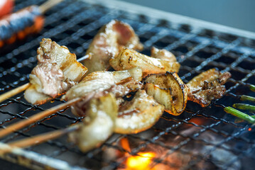 A few skewers of pork belly are being grilled under a strong charcoal fire