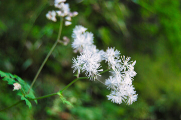 Photography Jiuzhai Valley 