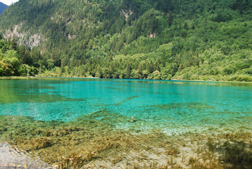 Photography Jiuzhai Valley 