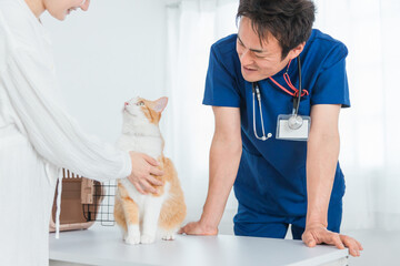 動物病院で獣医師に診察を受ける猫と飼い主のアジア人女性（ペット）