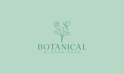 Botanical hand Drawn Logo Design Minimal Floral Hand Drawn Logo design template.