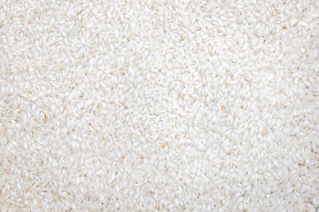 white sticky rice  background, top view.