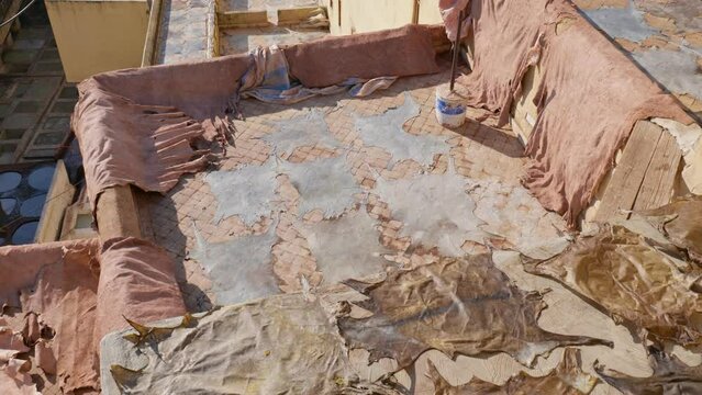 Large pieces of dressed animal skins lie on roofs of houses and dry under hot rays of African sun. Step-by-step technology for manufacture of genuine leather. Cow skins lie to dry at tannery.