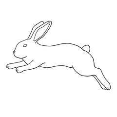 Black rabbit line on 2023. 2023년 흑토끼의 해