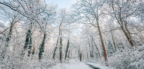 Majestic winter woodland. Sunny warm sunlight over snow covered trees, tranquil idyllic winter adventure landscape. Frost in sunset winter wonderland, amazing snowy nature mountain scene