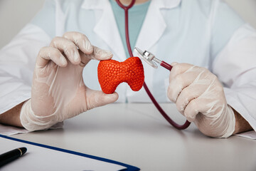 Doctor holding red model of thyroid and sthetoscope. Disease prevention concept