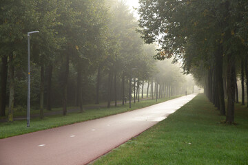 Concept of tranquil: A glimmer passing through beautiful morning fog in the forest, Almere Lumièrepark 