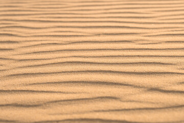 Sand background with dunes. Sand desert texture. low angle view.