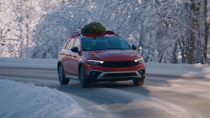 Family driving home with a Christmas tree tied to a roof of a generic red car on a scenic forest road, trees covered with show