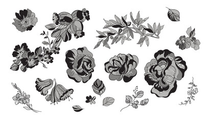 set lace flower, bouquet, vector illustration