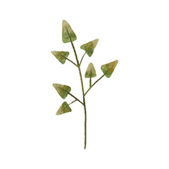 cute vector botanical branch, leaf, hand painted illustration